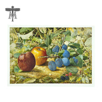 Stebbins Collection Fruits & Flowers Boxed Notes
